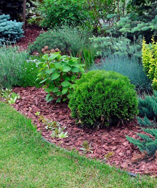 Mantenimiento de jardines Atarfe