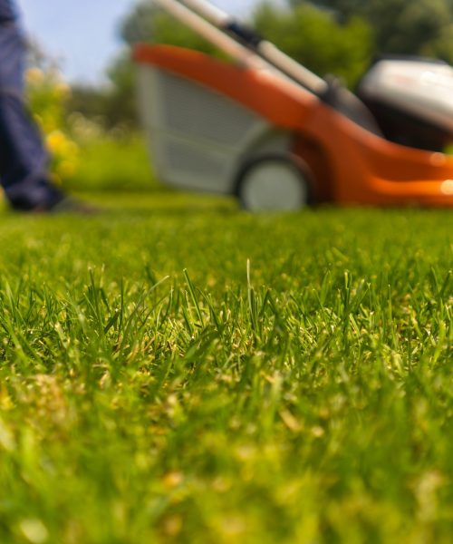 Instalación césped artificial Albolote