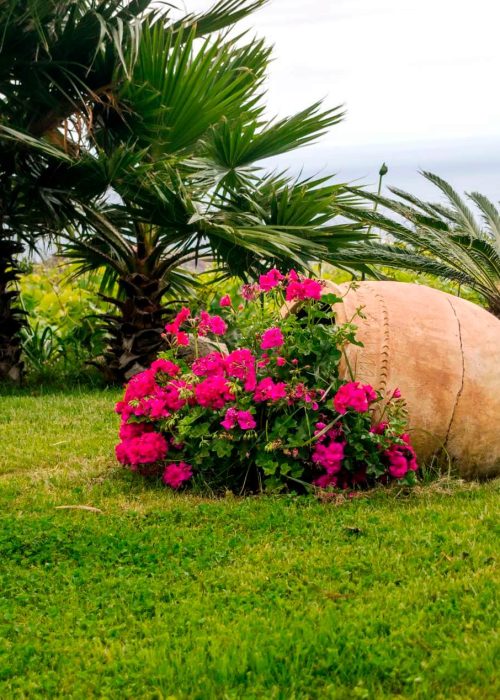 Diseño de jardín con vasija grande en Atarfe