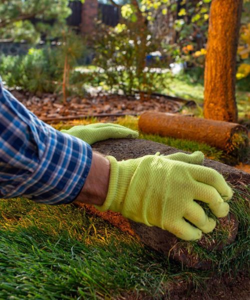 Servicios de jardinería Churriana