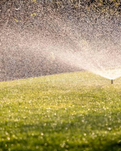 Mantenimiento de jardines Peligros