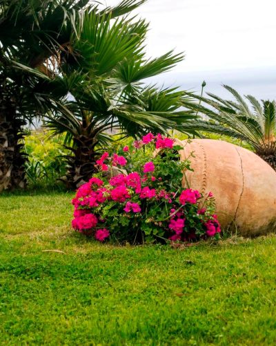 Instalación de riego automático Atarfe