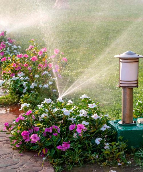 Mantenimiento de jardines Albolote