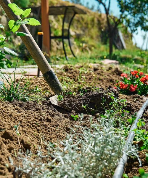 Servicios de jardinería Churriana