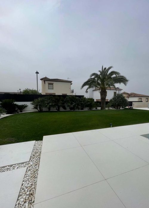 Palmera en jardín de chalet en Churriana