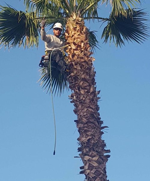 Jardinero en granada