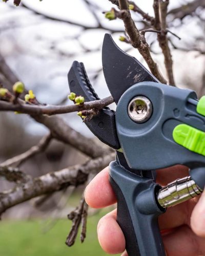 Poda de árboles Granada